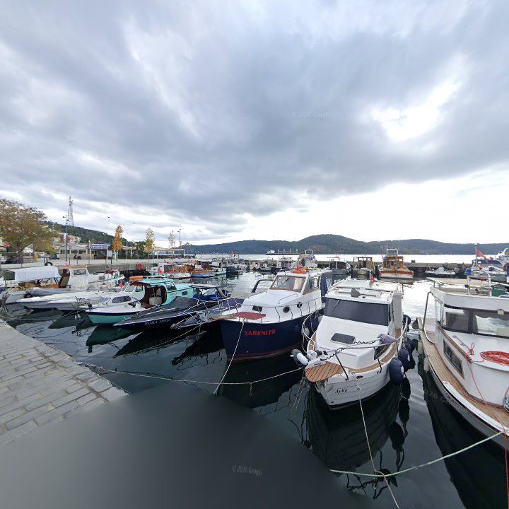 Fotoğraf 11