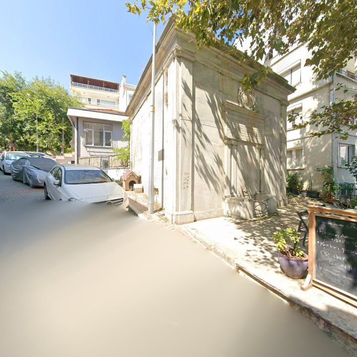 Fotoğraf 10
