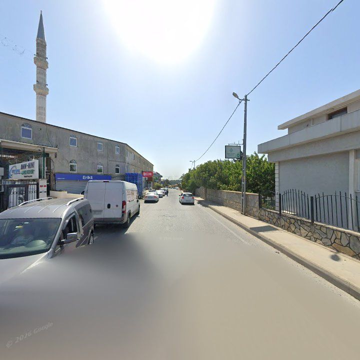 Fotoğraf 8