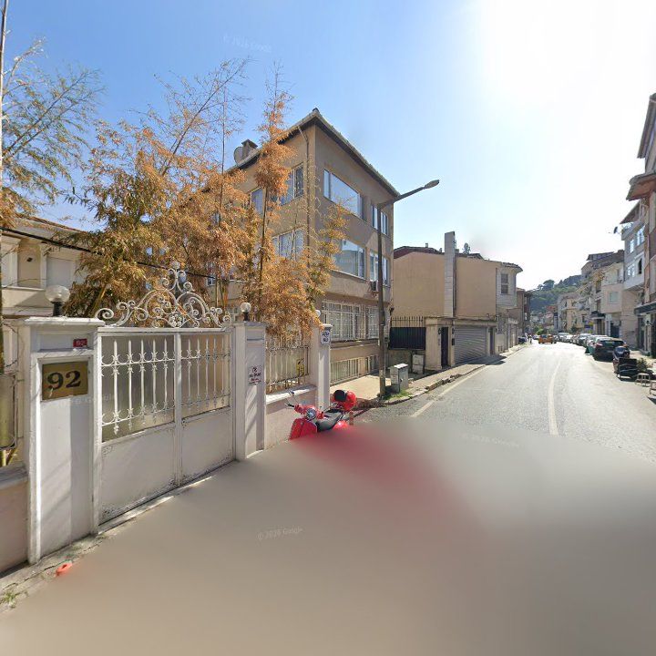 Fotoğraf 11