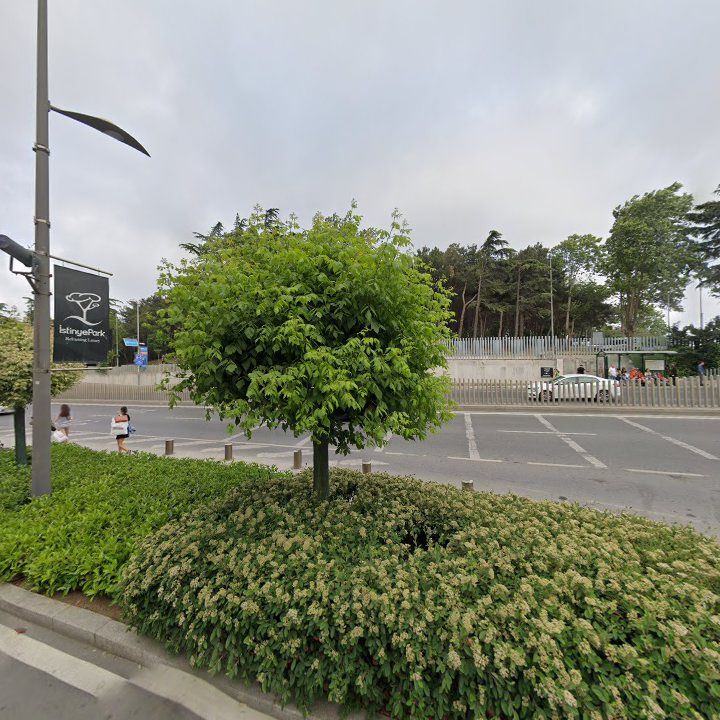 Fotoğraf 9