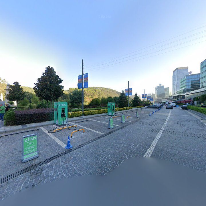 Fotoğraf 16