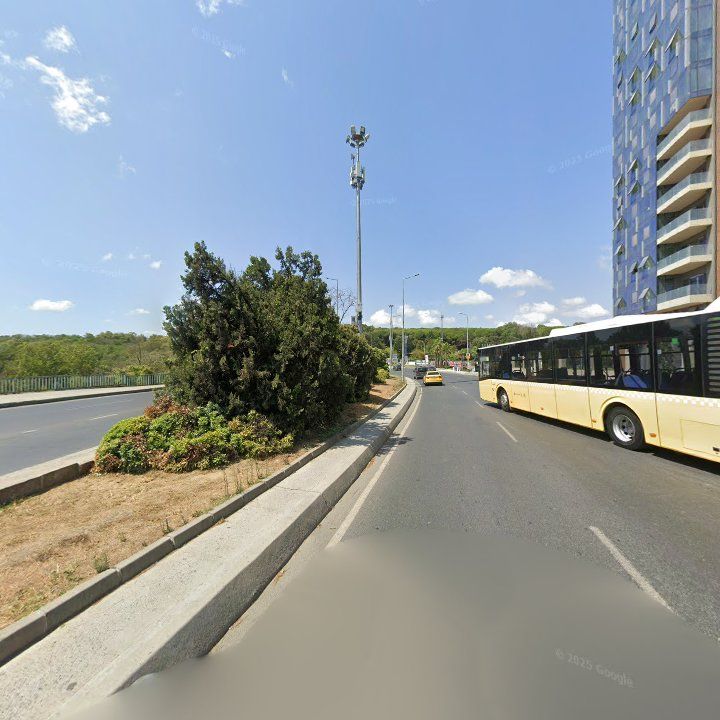 Fotoğraf 11