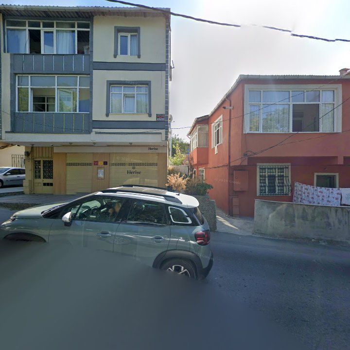 Fotoğraf 12