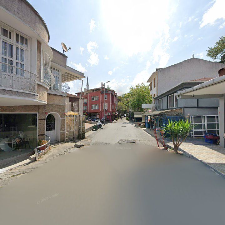 Fotoğraf 11