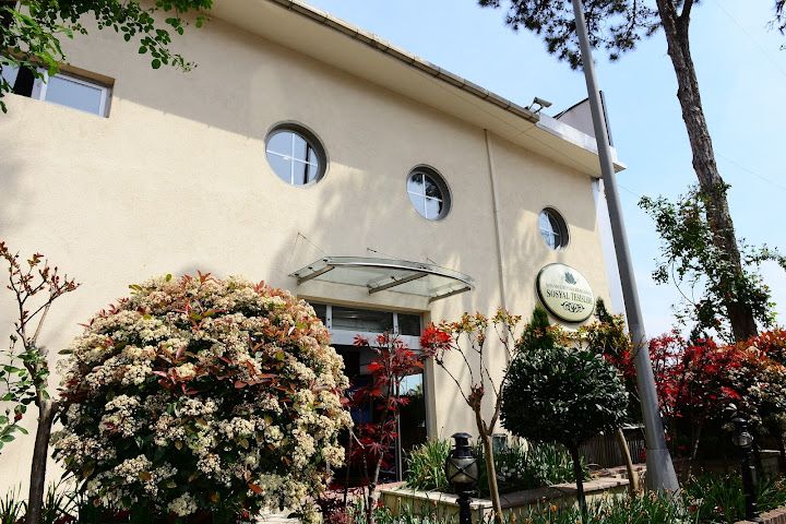 Fotoğraf 12