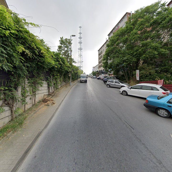Fotoğraf 14