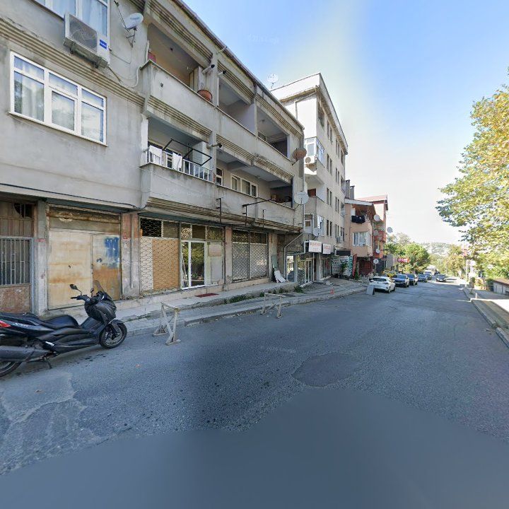 Fotoğraf 12