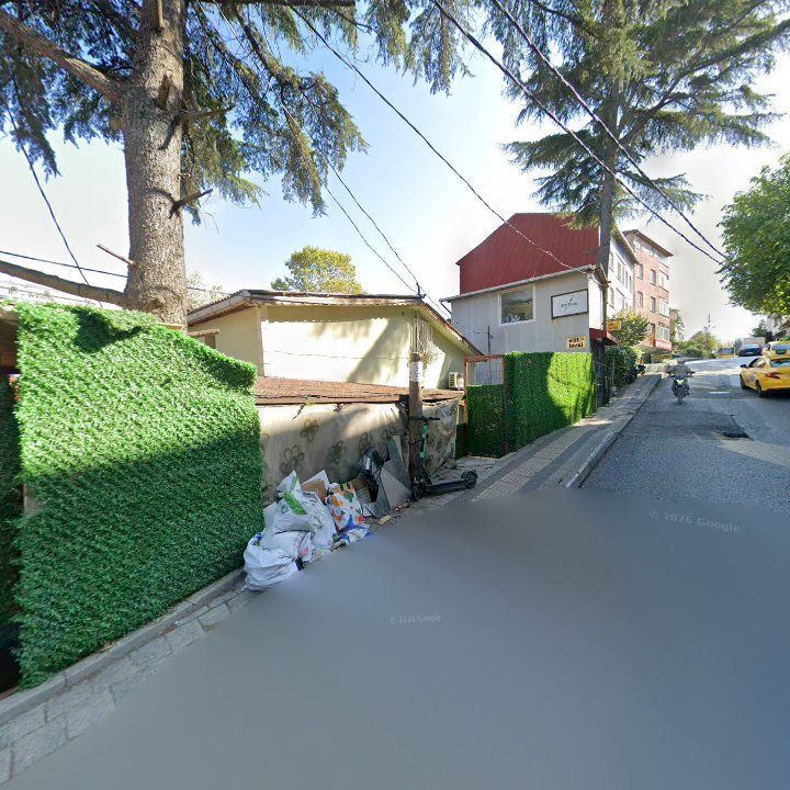 Fotoğraf 14