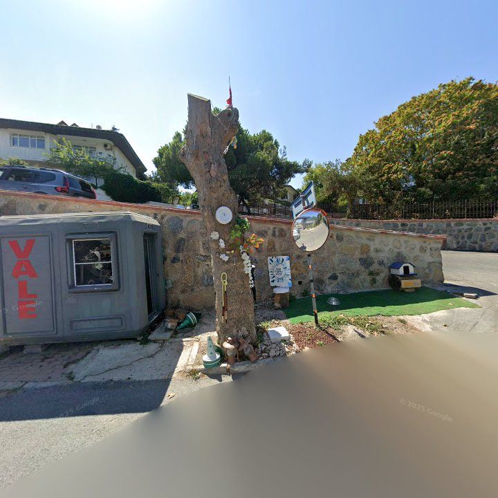 Fotoğraf 10