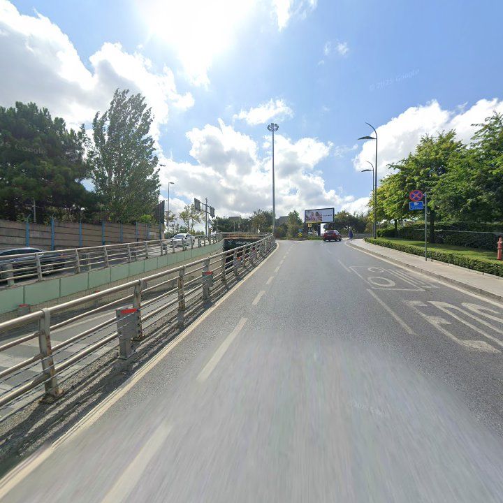 Fotoğraf 14