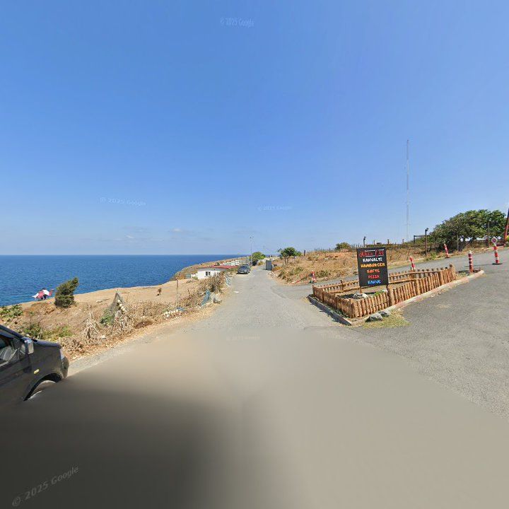 Fotoğraf 13
