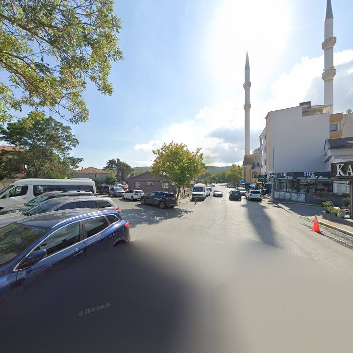 Fotoğraf 12