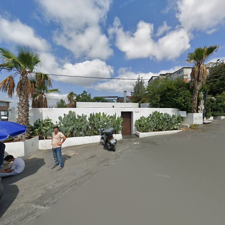 Fotoğraf 8
