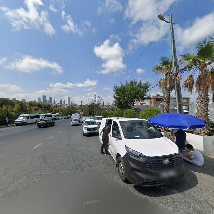 Fotoğraf 11