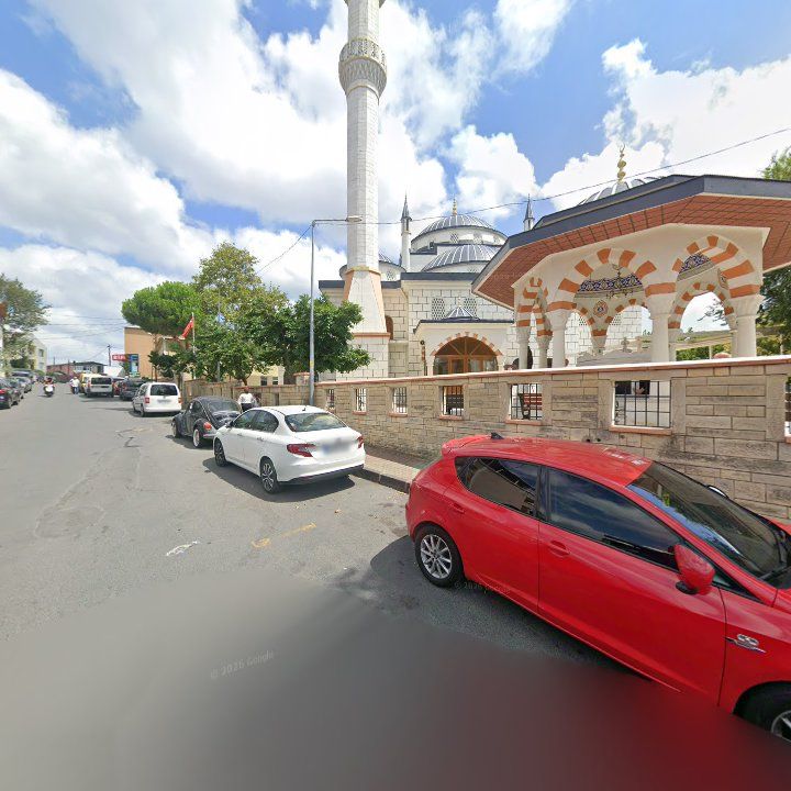 Fotoğraf 10