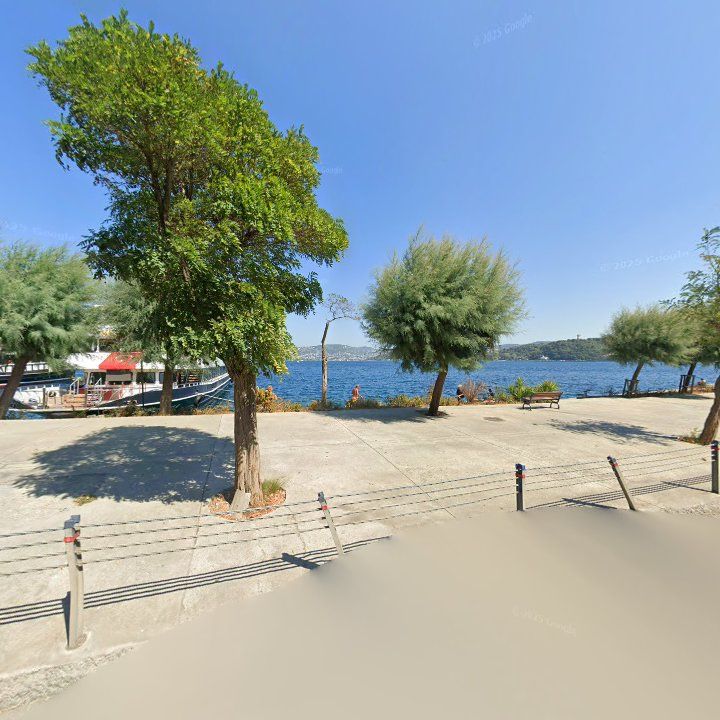 Fotoğraf 11