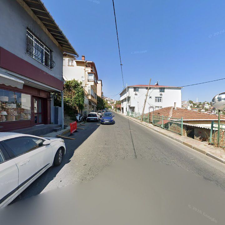 Fotoğraf 8