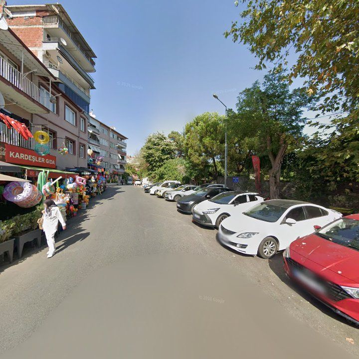 Fotoğraf 11