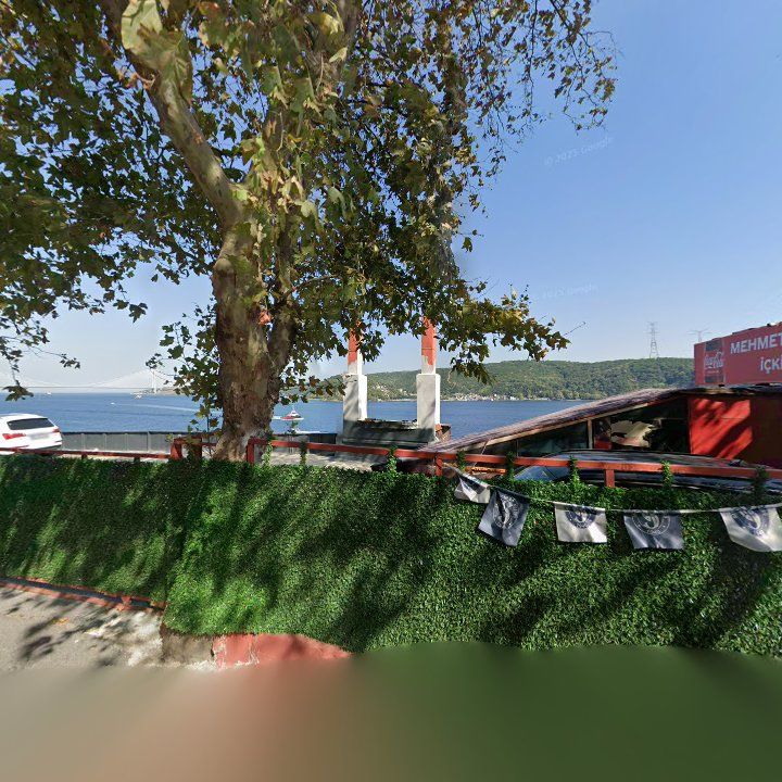 Fotoğraf 15
