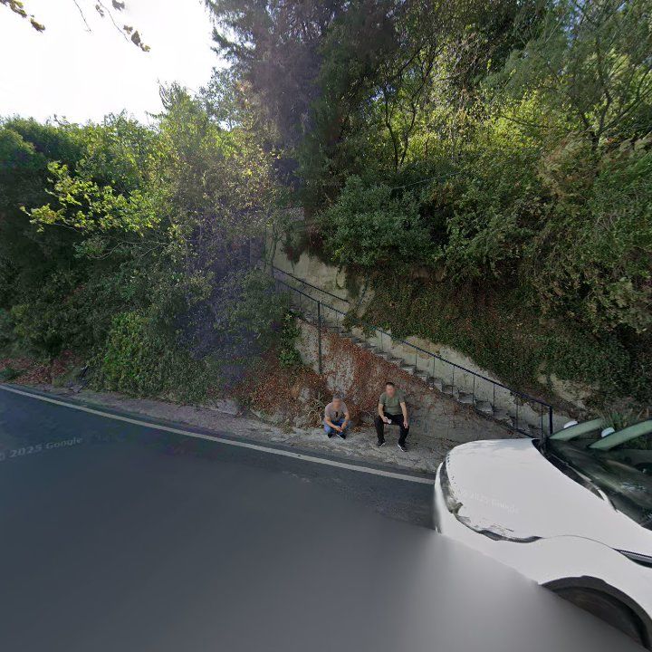 Fotoğraf 13