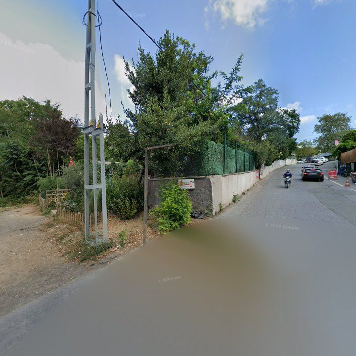 Fotoğraf 11