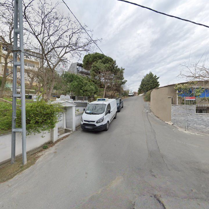 Fotoğraf 10