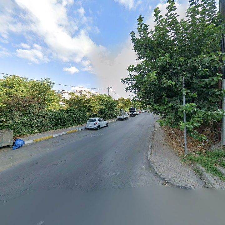 Fotoğraf 12