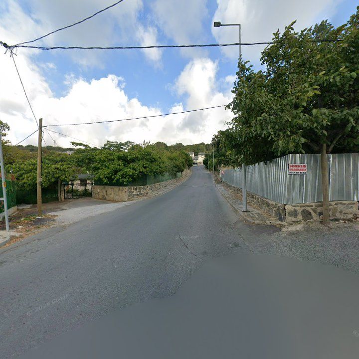 Fotoğraf 14