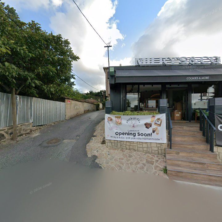 Fotoğraf 11