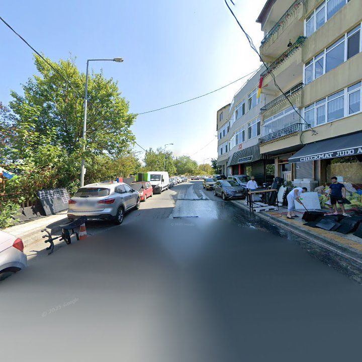 Fotoğraf 15