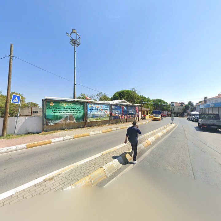 Fotoğraf 8