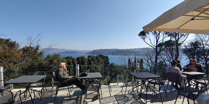 Fotoğraf 12