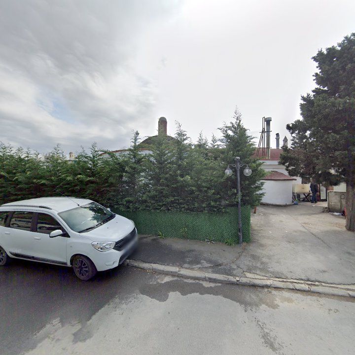 Fotoğraf 6