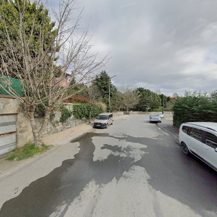 Fotoğraf 9