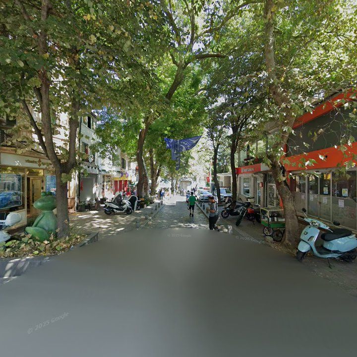 Fotoğraf 11