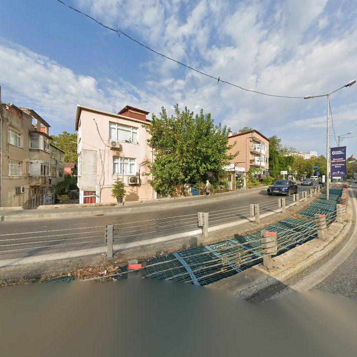 Fotoğraf 12