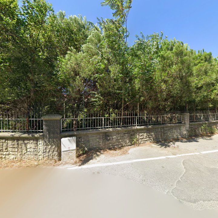 Fotoğraf 13