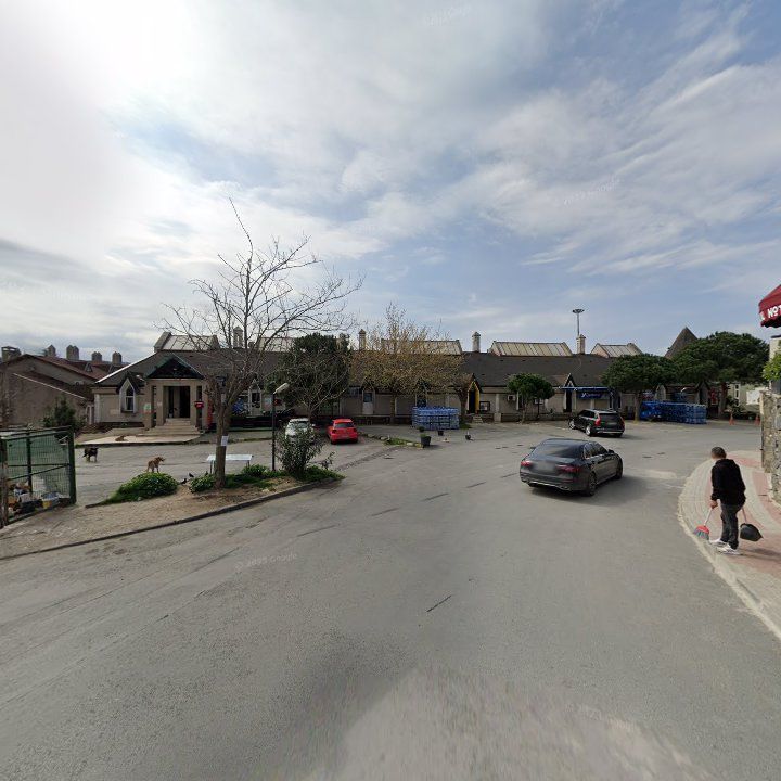 Fotoğraf 12