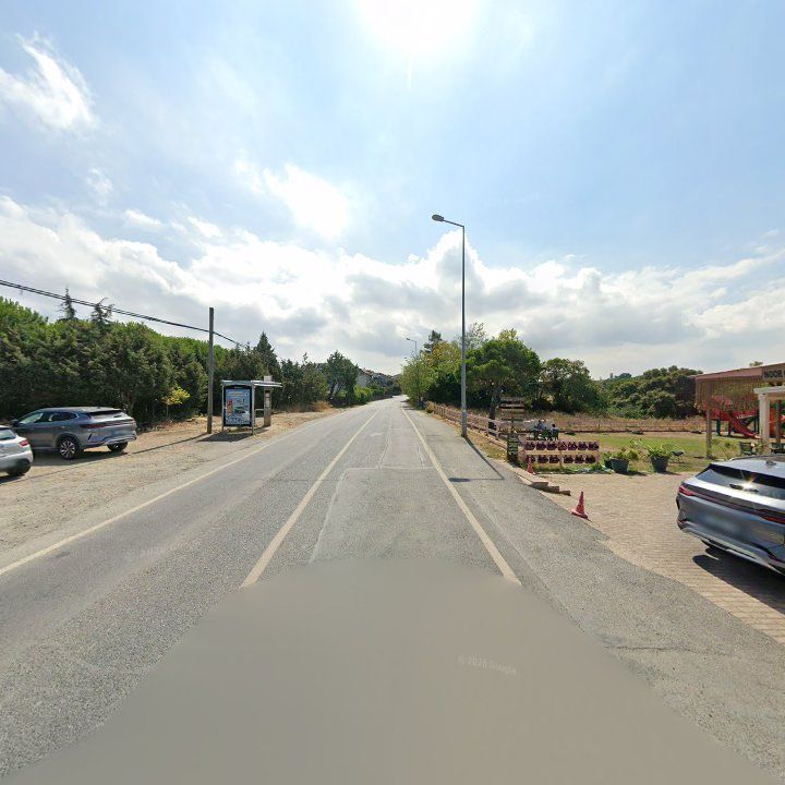 Fotoğraf 10