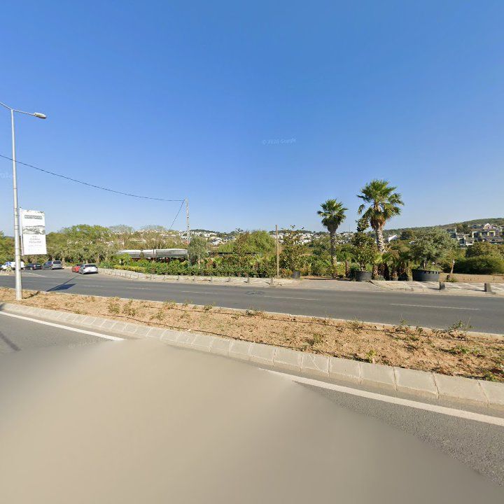 Fotoğraf 11
