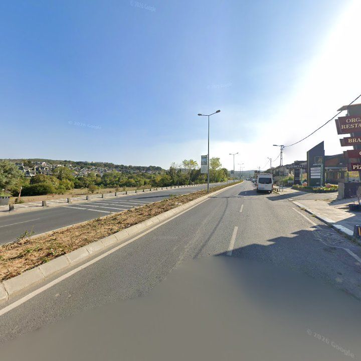 Fotoğraf 12