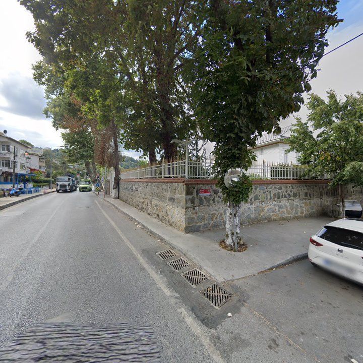 Fotoğraf 12