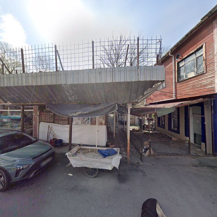 Fotoğraf 7