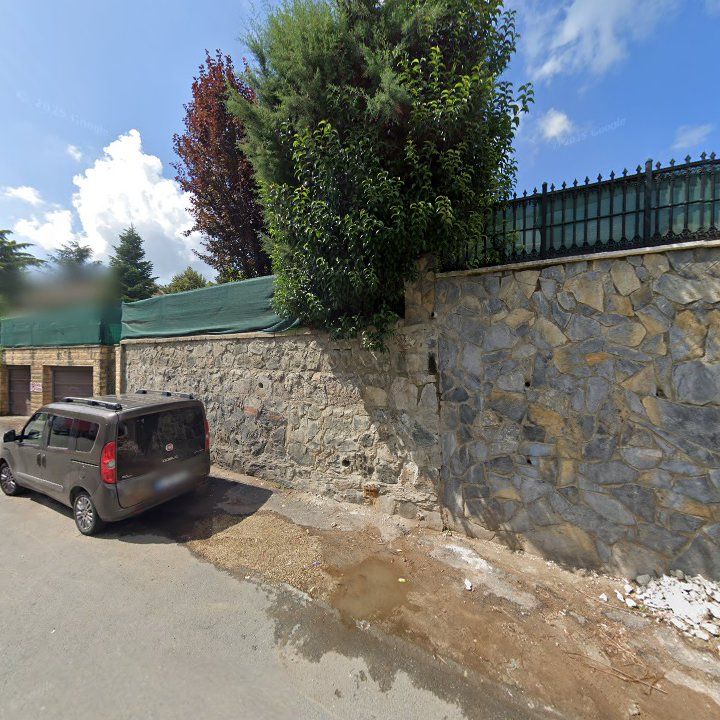 Fotoğraf 12