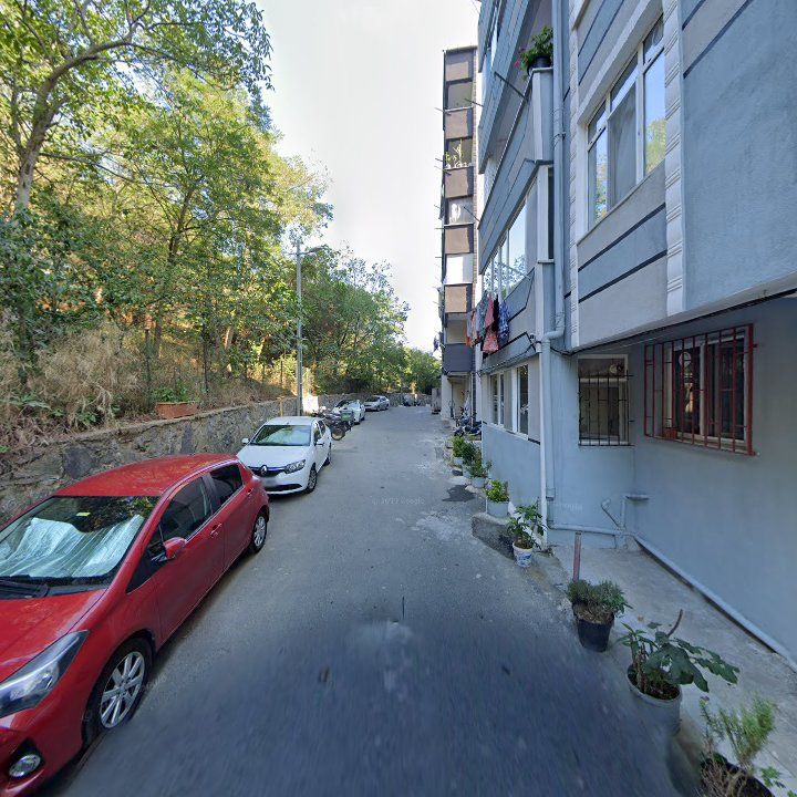 Fotoğraf 8