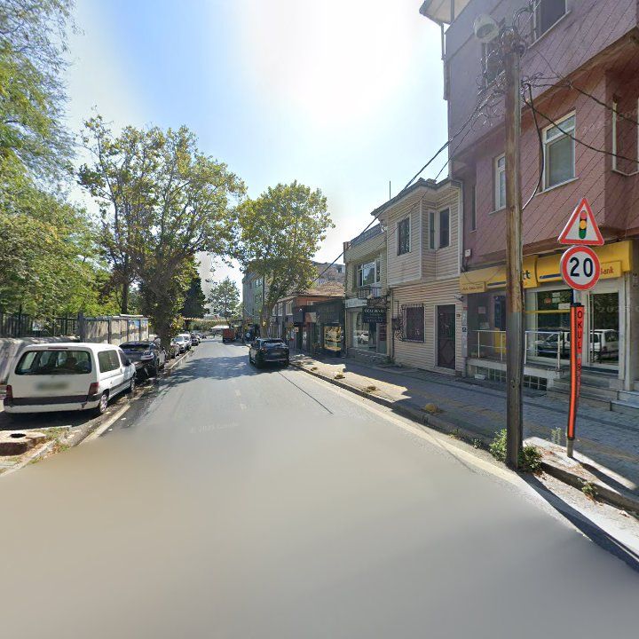 Fotoğraf 12