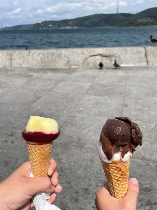 Fotoğraf 24