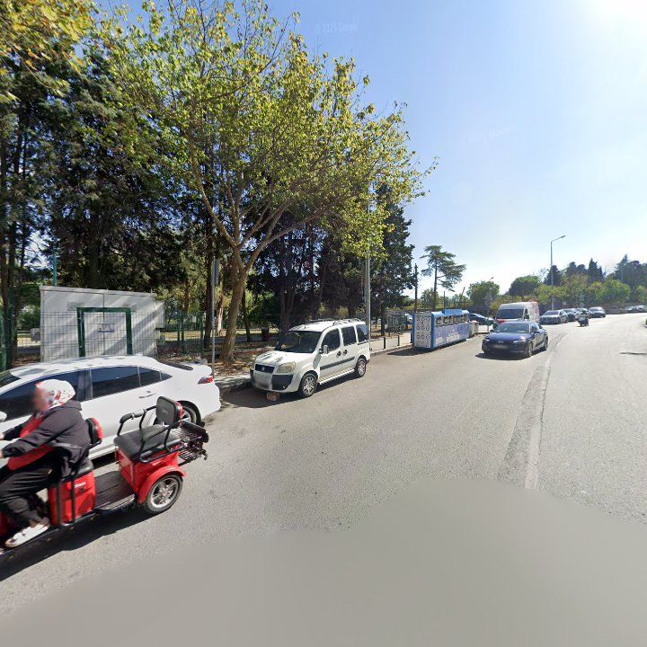 Fotoğraf 8