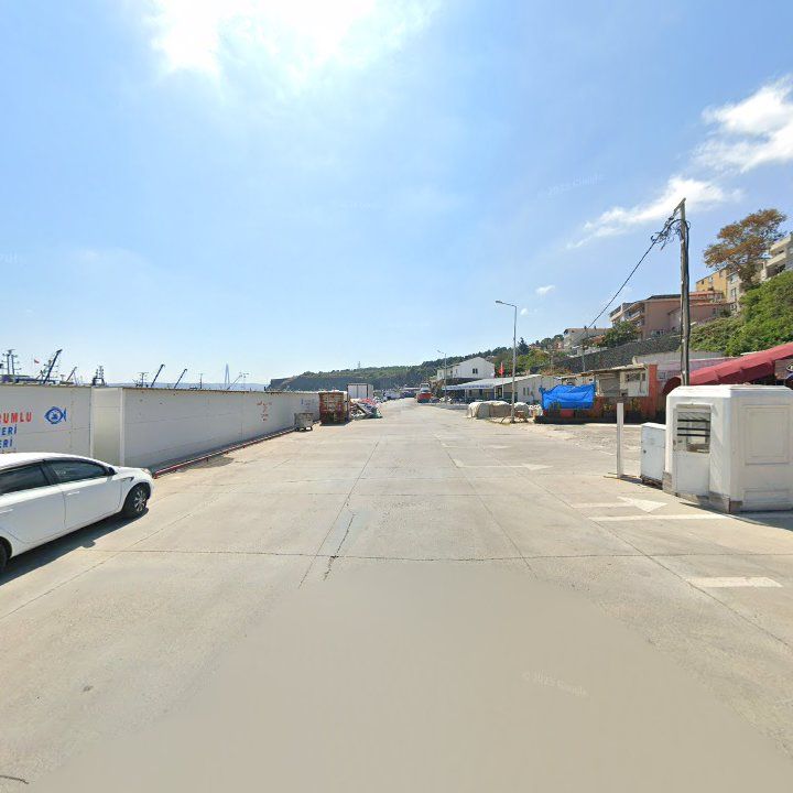 Fotoğraf 12